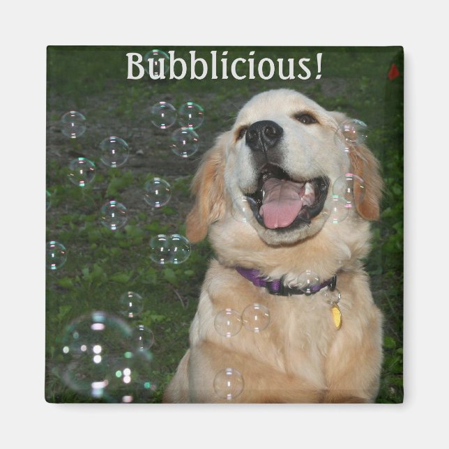 Aimant Bublicious Golden Retriever Puppy (Devant)