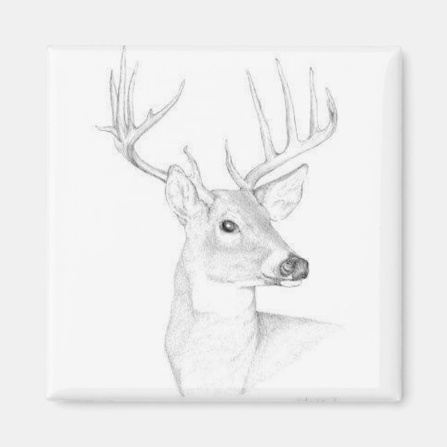 Aimant Buck (Devant)