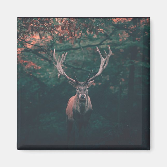 Aimant Buck Deer animal sauvage (Devant)