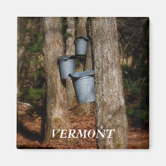 Aimant Buckets Vermont Sap