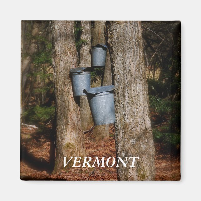 Aimant Buckets Vermont Sap (Devant)