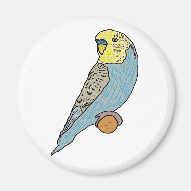 Aimant Budgie (Devant)