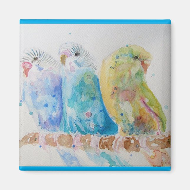 Aimant Budgie Aquarelle Peinture d'oiseau Budgies Aqua Tu (Devant)