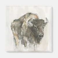 Buffle américain I