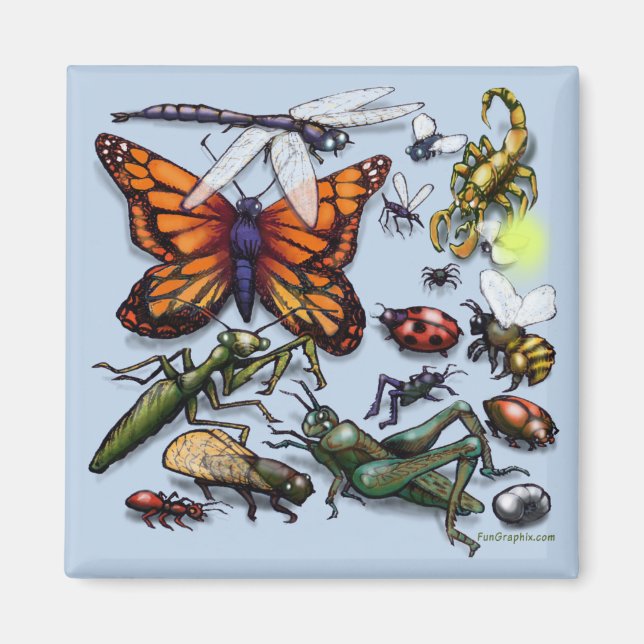 Aimant Bugs (Devant)