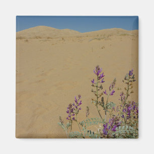 Aimant Buisson d'indigo du Mojave et dunes de Kelso