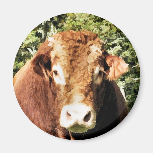 AIMANT BULL (Devant)