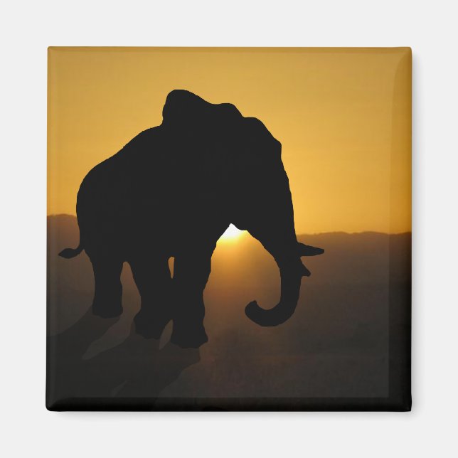 Aimant Bull éléphant (Devant)