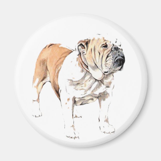 Aimant Bulldog (Devant)