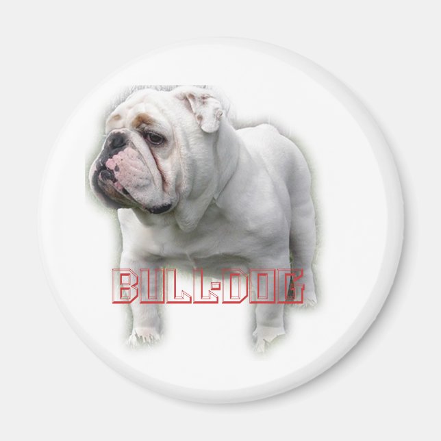 Aimant Bulldog ド (Devant)