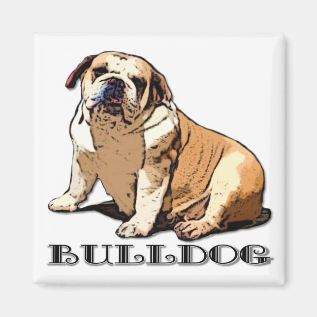 Aimant Bulldog anglais (Devant)