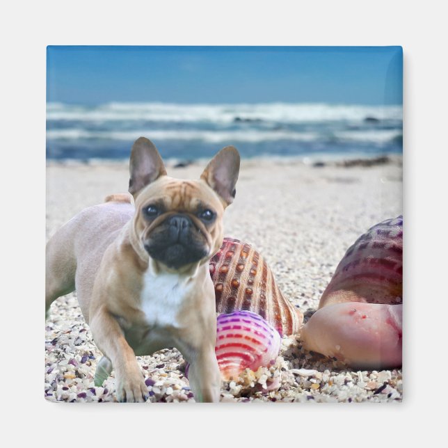 Aimant Bulldog français sur la plage magnétique (Devant)
