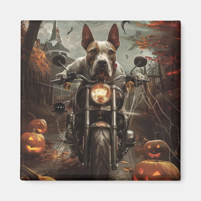 Aimant Bulle Terrier Riding Moto Halloween effrayant (Devant)