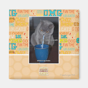 Aimant Bulles de coups en lait d'ur