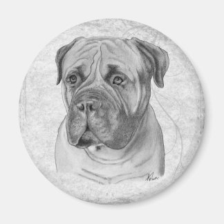 Aimant Bullmastiff