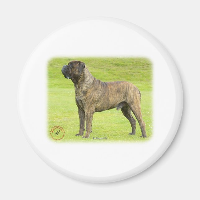 Aimant Bullmastiff 9R071D-077 (Devant)