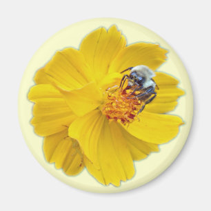 Aimant Bumblebee sur Cosmos