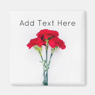 Aimant Bundle of Red Carnation Flowers