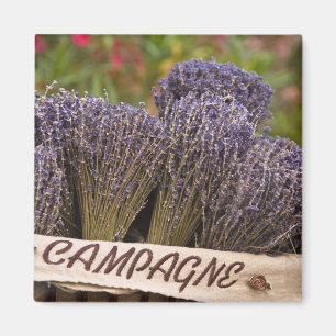 Aimant Bungalows de lavande à vendre, Vence, Provence,