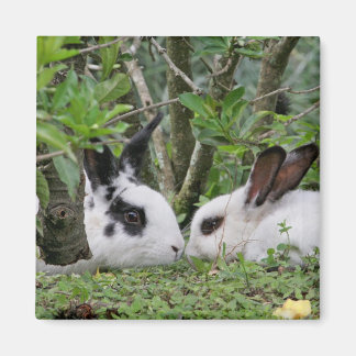 Aimant Bunny Couple