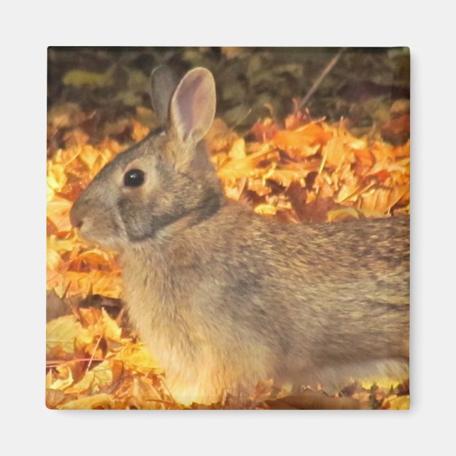 Aimant Bunny d'automne (Devant)