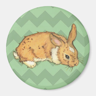 Aimant Bunny Sage Chevron Duo
