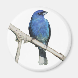 Aimant Bunting Indigo
