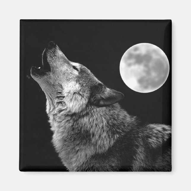 Aimant BW Wolf Howling at Moon (Devant)
