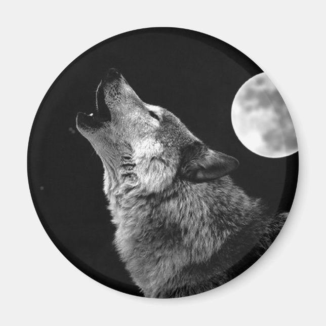 Aimant BW Wolf Howling at Moon (Devant)