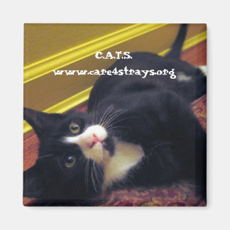 Aimant C.A.T.S. :