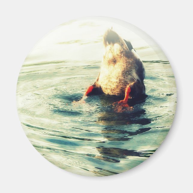 Aimant Ça Finit ! Bouton de canard (Devant)