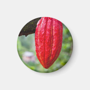 Aimant cabosse rouge