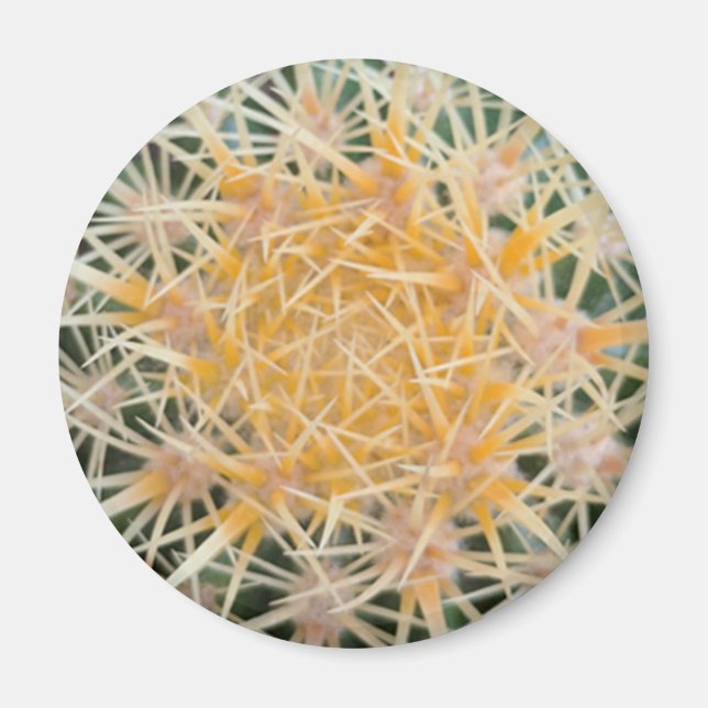 Aimant Cactus (Devant)