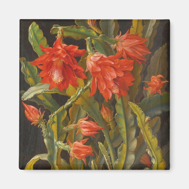 Aimant Cactus de Noël | Christian Möllback (Devant)