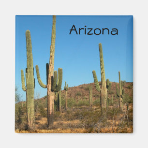 Aimant Cactus de Saguaro