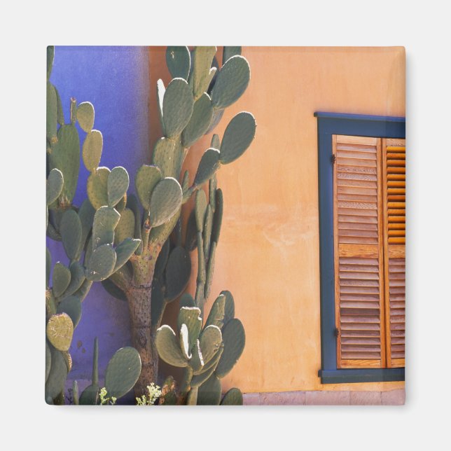 Aimant Cactus du sud-ouest (Opuntia dejecta) et (Devant)