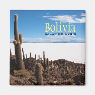 Aimant Cactus géant à l'aimant des textes de Salar de