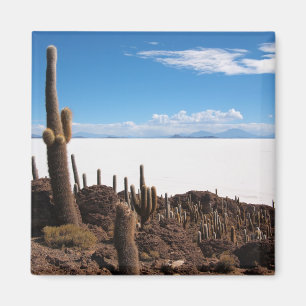 Aimant Cactus géant à l'aimant Salar de Uyuni