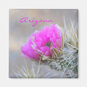Aimant cactus rose, Arizona