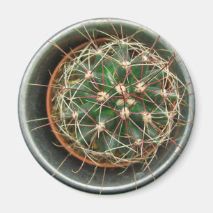 Aimant Cactus sur le réfrigérateur