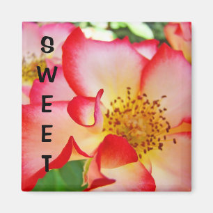 Aimant Cadeau aimanté SWEET Roses Fleurs Rouges Blanches