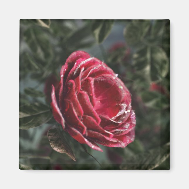 Aimant cadeau d'hiver (Devant)