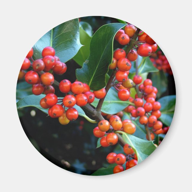 Aimant cadeau d'hiver coloré (Devant)