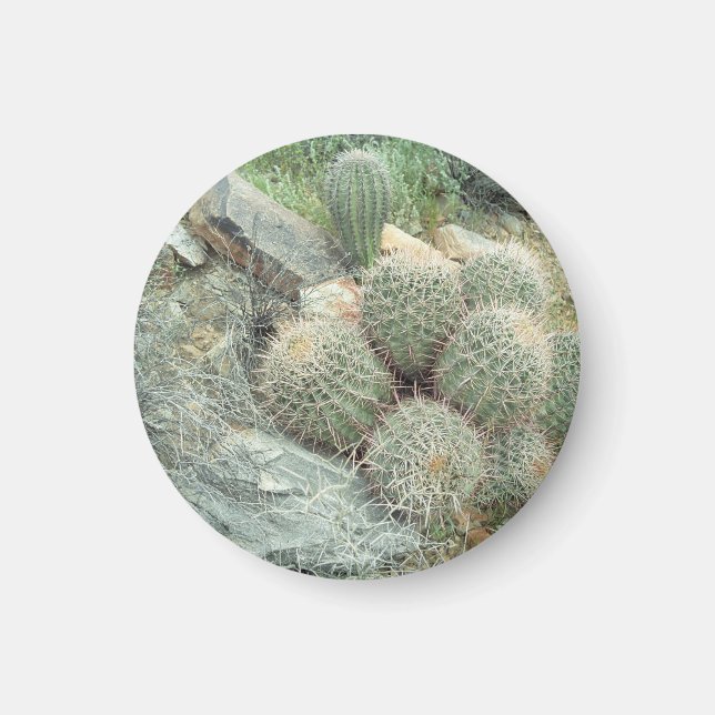 Aimant Cadeau Saguaro Swirl Cactus Réfrigérateur (Devant)