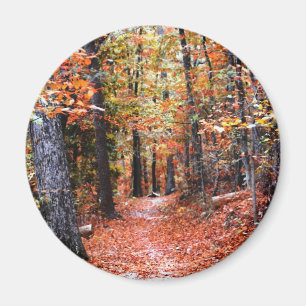 Aimant Cadeaux aquarelle Sentier de la forêt peinte autom