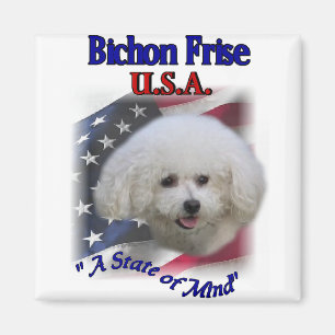 Aimant Cadeaux Bichon Frise