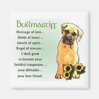 Aimant Cadeaux Bullmastiff
