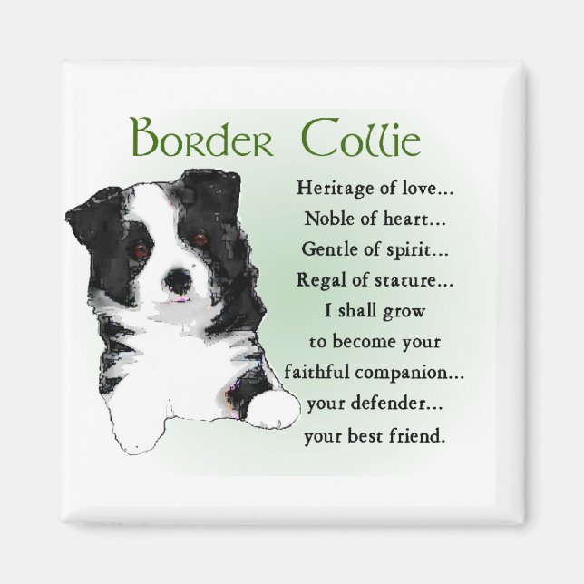 Aimant Cadeaux d'art Collie Frontière (Devant)