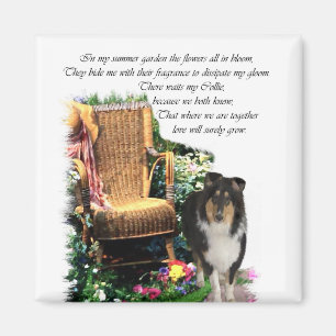 Aimant Cadeaux d'art Collie Tri-Color