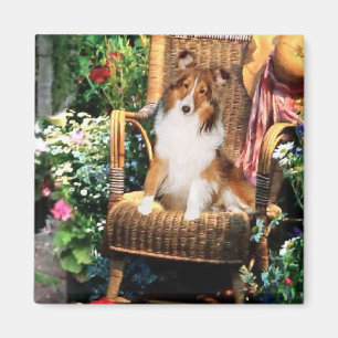 Aimant Cadeaux d'art de Sheltie de chien de berger de